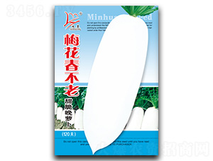 ÷��������-�}���N��-�}�ʷN�I(y��)