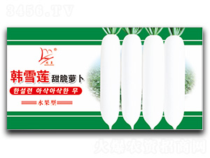 �nѩɏ����}��-�}���N��-�}�ʷN�I(y��)