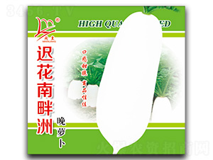 �t�����������}��-�}���N��-�}�ʷN�I(y��)