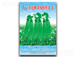 ����ܛ�v888-���m���N��-�}�ʷN�I(y��)