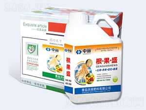 ��������ʢ-�־G����