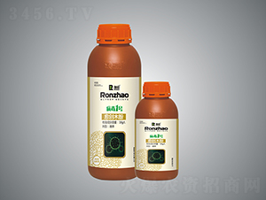 ����1̖(h��o)-�����r(n��ng)�I(y��)