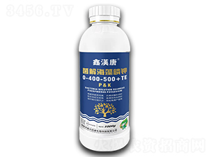 ø�⺣�����0-400-500+TE-�h��