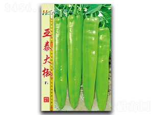 ��̩��-�����N��-��̩