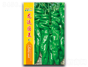 ���\(y��n)����-�ݽz���N��-��̩