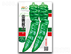 ��̩����-�ݽz���N��-��̩