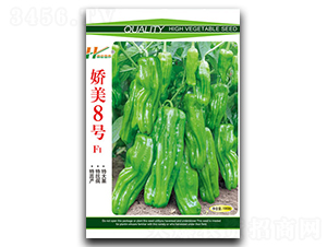 ����8̖-��Ƥ���\���N��-��̩