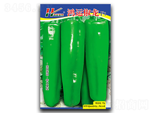 ���\(y��n)����-����ݽ��N��-��̩