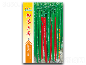 ���L��̖-�����N��-��̩