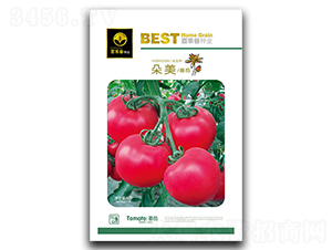 ����-���ѷN��-�ٺ̹�