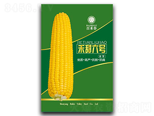 ������̖-Ŵ���׷N��-�ٺ̹�