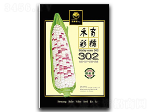 �����Ŵ302-Ŵ���׷N��-�ٺ̹�