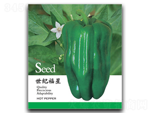 ���o(j��)����-�����N��-�ٺ̹�