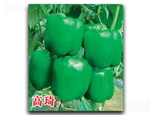 ����-�����N��-�ٺ̹�