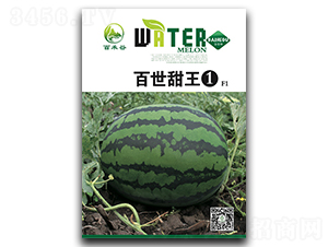 ��������1-���ϷN��-�ٺ̹�