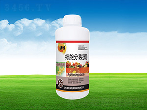 ��(x��)��������-�μѸ� 