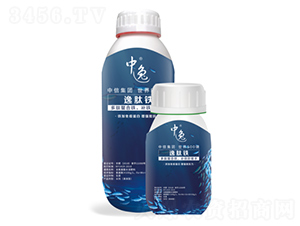 �����F-����