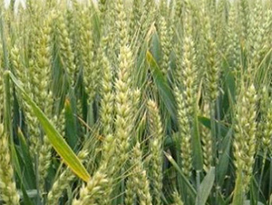 ����14-С���N��-����N�I(y��)