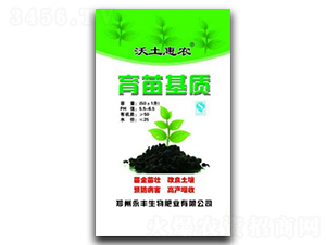 ������|(zh��)-�������r(n��ng)-���S����