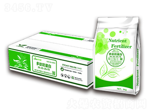 �����̵���-�W��˹