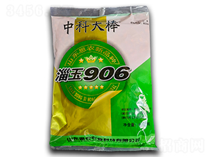 淄玉906-玉米種子-袁氏農(nóng)業(yè)