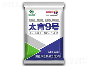 太育9號(hào)-玉米種子-袁氏農(nóng)業(yè)