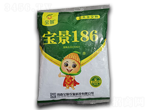 寶景186-玉米種子-袁氏農(nóng)業(yè)