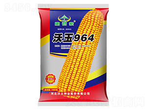 沃玉964-玉米種子-沃土種業(yè)