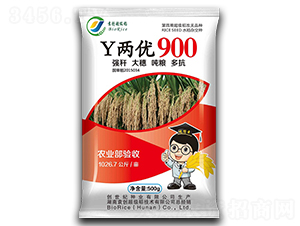 Y兩優(yōu)900-水稻種子-創(chuàng)世紀(jì)