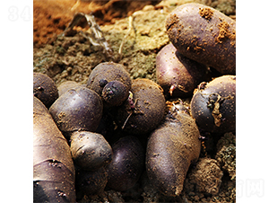 ϣɭ7̖-�����N��-ϣɭ