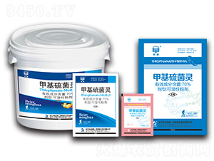 70%�׻�����`�ɝ��Էۄ�-�L��-�����r(n��ng)��