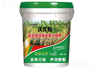 高濃縮液體返青分蘗肥-沃優(yōu)稻-沃地寶