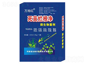 死苗爛根凈-萬(wàn)炮紅-永納興