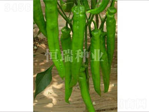 �³���-�����N��-����N�I(y��)