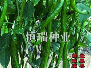 ����ھ���-�����N��-����N�I(y��)