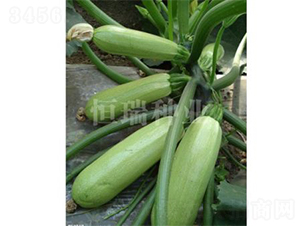 ���-�����J�N��-����N�I(y��)