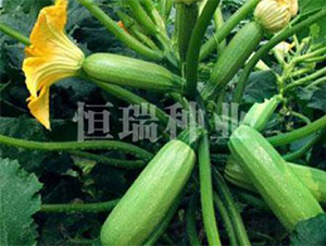 ѩ��I-�����J�N��-����N�I(y��)