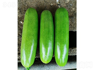 ���_(d��)����-�����J�N��-����N�I(y��)