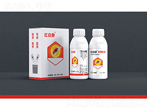 40%���ѡ��}���`�Ҹ���+�t���o��������-�t���o-������