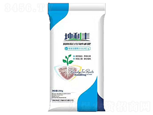 ���쵰�������ЙC��-�����S-��ʢ����