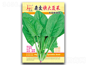 �s����󲤲�-���˷N��-�}�ʷN�I(y��)