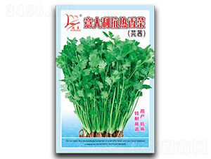 �������������-��˷N��-�}�ʷN�I(y��)