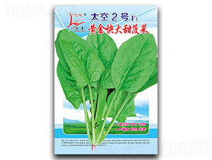 ̫��2̖(h��o)-���˷N��-�}�ʷN�I(y��)