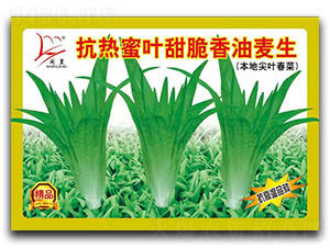 �������~���������-�����˷N��-�}�ʷN�I(y��)