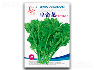 ���~����-����N��-�}�ʷN�I(y��)