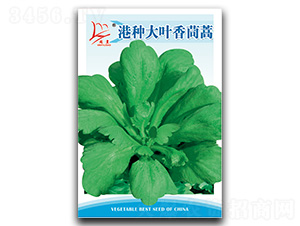 �۷N���~������-����N��-�}�ʷN�I(y��)