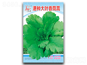 �۷N���~-����N��-�}�ʷN�I(y��)