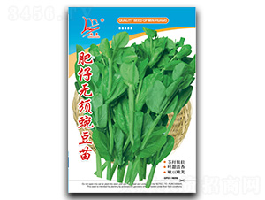 ���Пo��㶹��-�㶹��N��-�}�ʷN�I(y��)