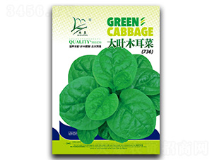 ���~ľ���ˣ�736��-ľ���˷N��-�}�ʷN�I(y��)