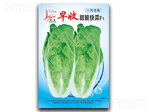 ���������-��˷N��-�}�ʷN�I(y��)